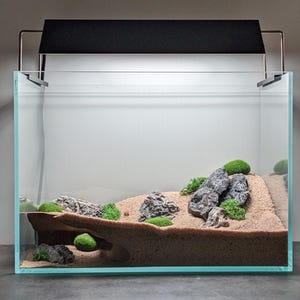 May include: A glass aquarium with a black light fixture on top. The aquarium is filled with sand and rocks, and there are several small green plants growing in the sand.