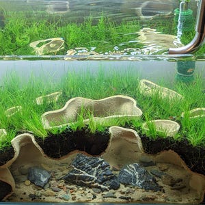 May include: A rectangular glass aquarium with a lush, green aquatic landscape. The tank features vibrant green plants, beige rock formations, and a dark substrate. A copper pipe and clear water complete the scene.