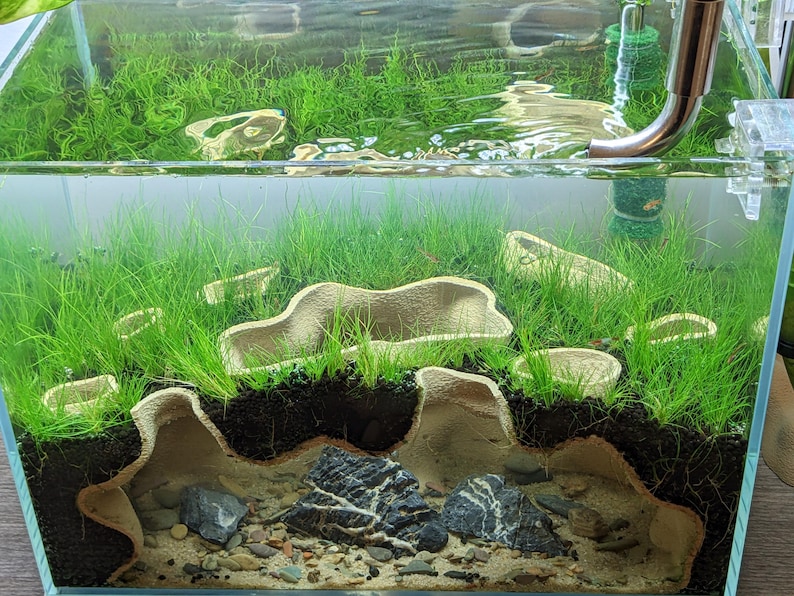 May include: A rectangular glass aquarium with a lush, green aquatic landscape. The tank features vibrant green plants, beige rock formations, and a dark substrate. A copper pipe and clear water complete the scene.