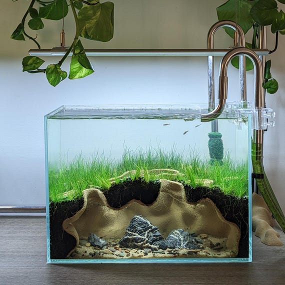 The Mangrove Hollow Extra Large Aquarium Cave