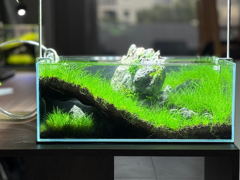 The Corner Hollow Large Aquarium Cave image 1