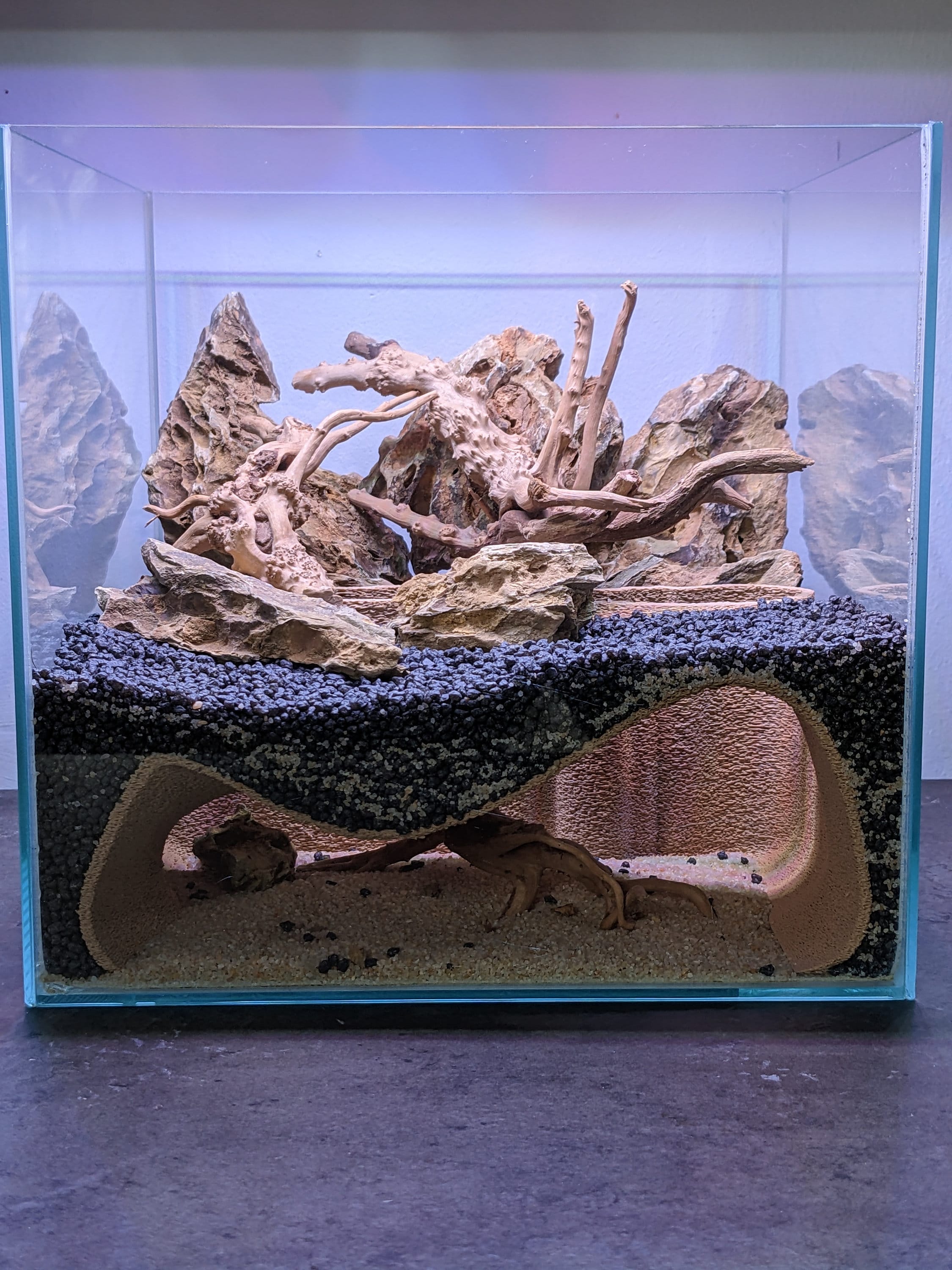 FuninCrea Accessoires de décoration pour aquarium - Grottes - Combat les  poissons - Cachette - Tunnels en céramique - Décoration pour aquarium - Pour  le masquage et l'élevage de crevettes - Crâne : : Animalerie