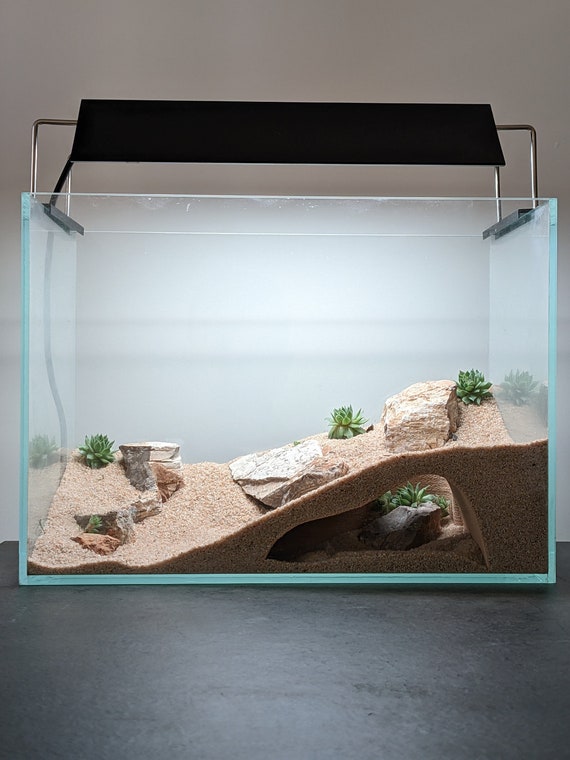 In Aquarium And Terrarium Cave Sizes, 51 OFF