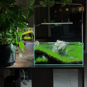 The Corner Hollow Large Aquarium Cave image 4