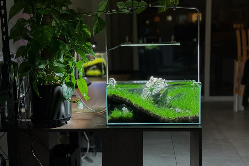 The Corner Hollow Large Aquarium Cave image 4