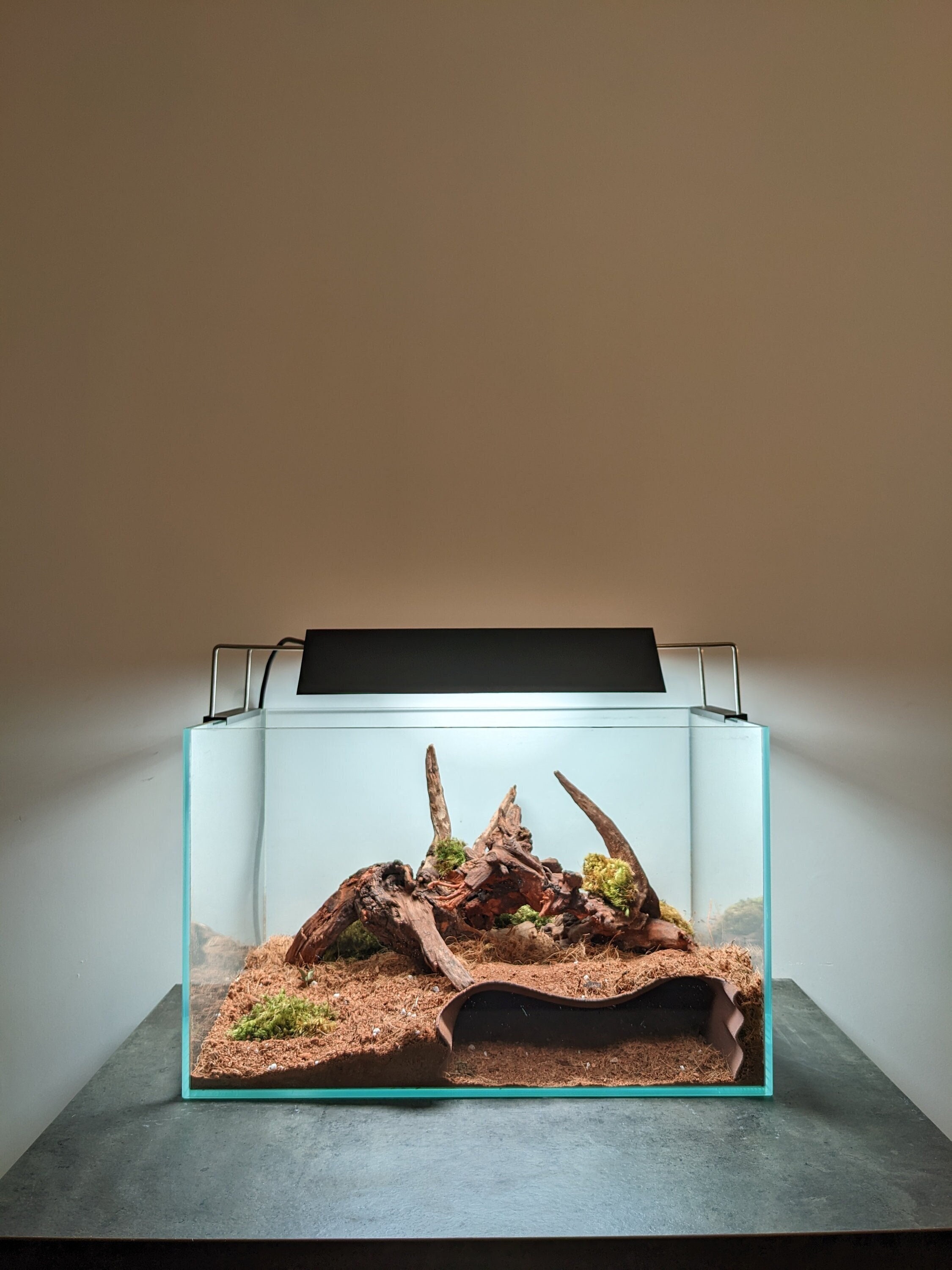 テラリウム/アクアリウム 地下自然洞窟（L） - Etsy 日本