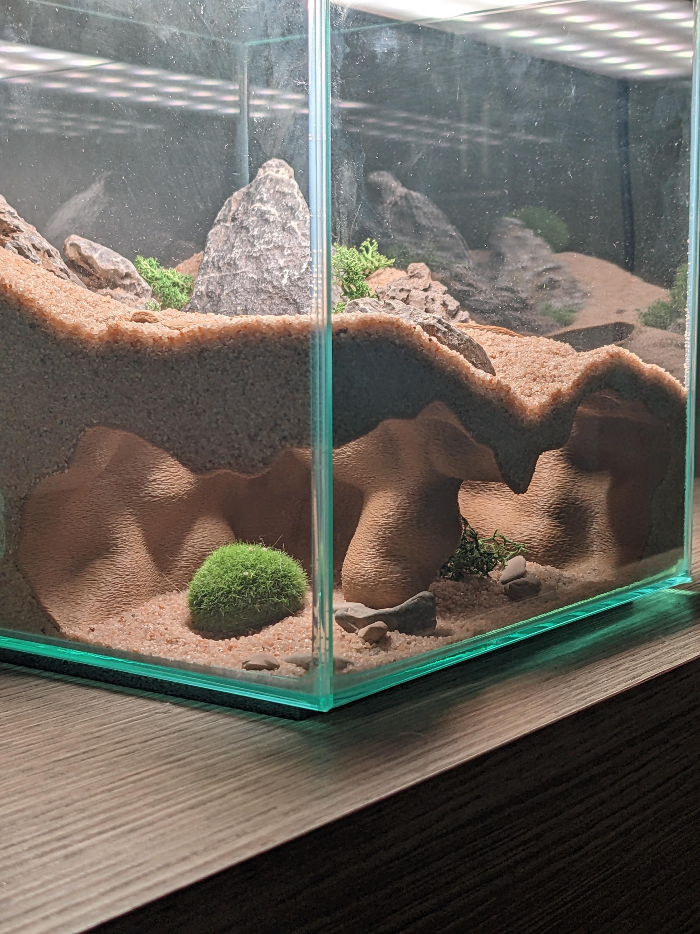 Aquarium/Terrarium Corner Mangrove Style Cave