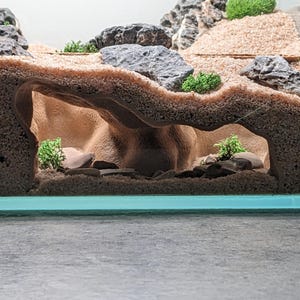 NEW! Aquarium/Terrarium Double Entrance Natural Tunnel