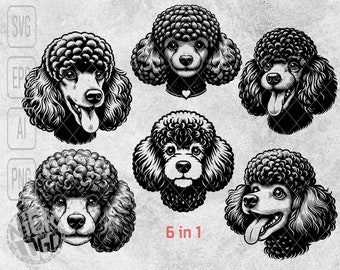 6 In 1 Bundle Poodle Dog Face Head Bust Puppy Pet Cute SVG PNG