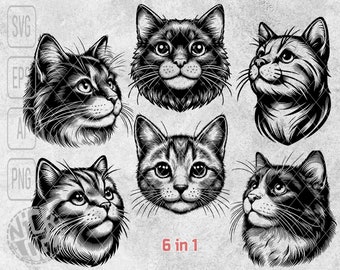 6 In 1 Bundle Domestic shorthair Cat Face Head Bust Puppy Pet Kitten Cute SVG PNG