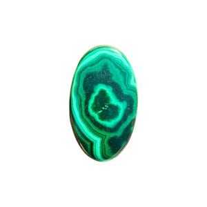 Elegante pulsera de piedras preciosas sueltas de cabujón ovalado de malaquita 100 % natural de alta calidad para hacer joyas