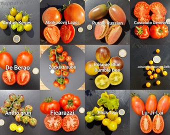 Favorieten van tomatenzaden SET 》12 verschillende variëteiten