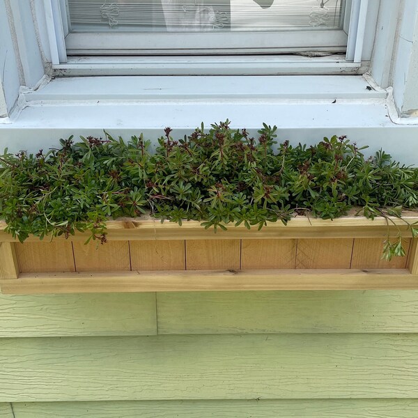Hanging Planters Outdoor Etsy