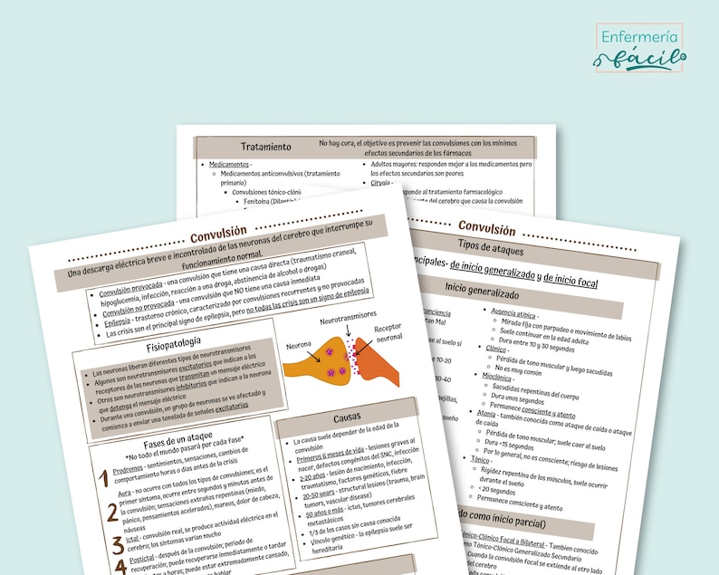 Seizure Study Guide Nursing Study Guides Digital Notes - Etsy