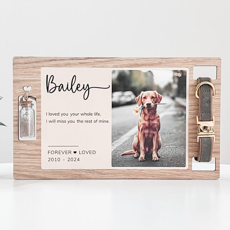 May include: Wooden memorial plaque with a photo of a golden retriever dog, a small glass jar, and a brown leather dog collar. The plaque has the text "Bailey", "I loved you your whole life, I will miss you the rest of mine." and "FOREVER LOVED 2010 - 2024".