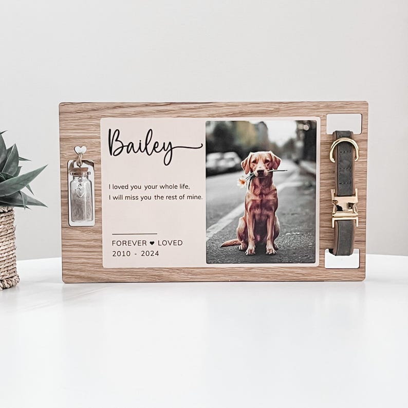 May include: Wooden memorial plaque with a photo of a brown dog holding a flower in its mouth. The plaque has a small glass jar, a dog collar, and the text "Bailey", "I loved you your whole life, I will miss you the rest of mine." and "FOREVER LOVED 2010 - 2024".