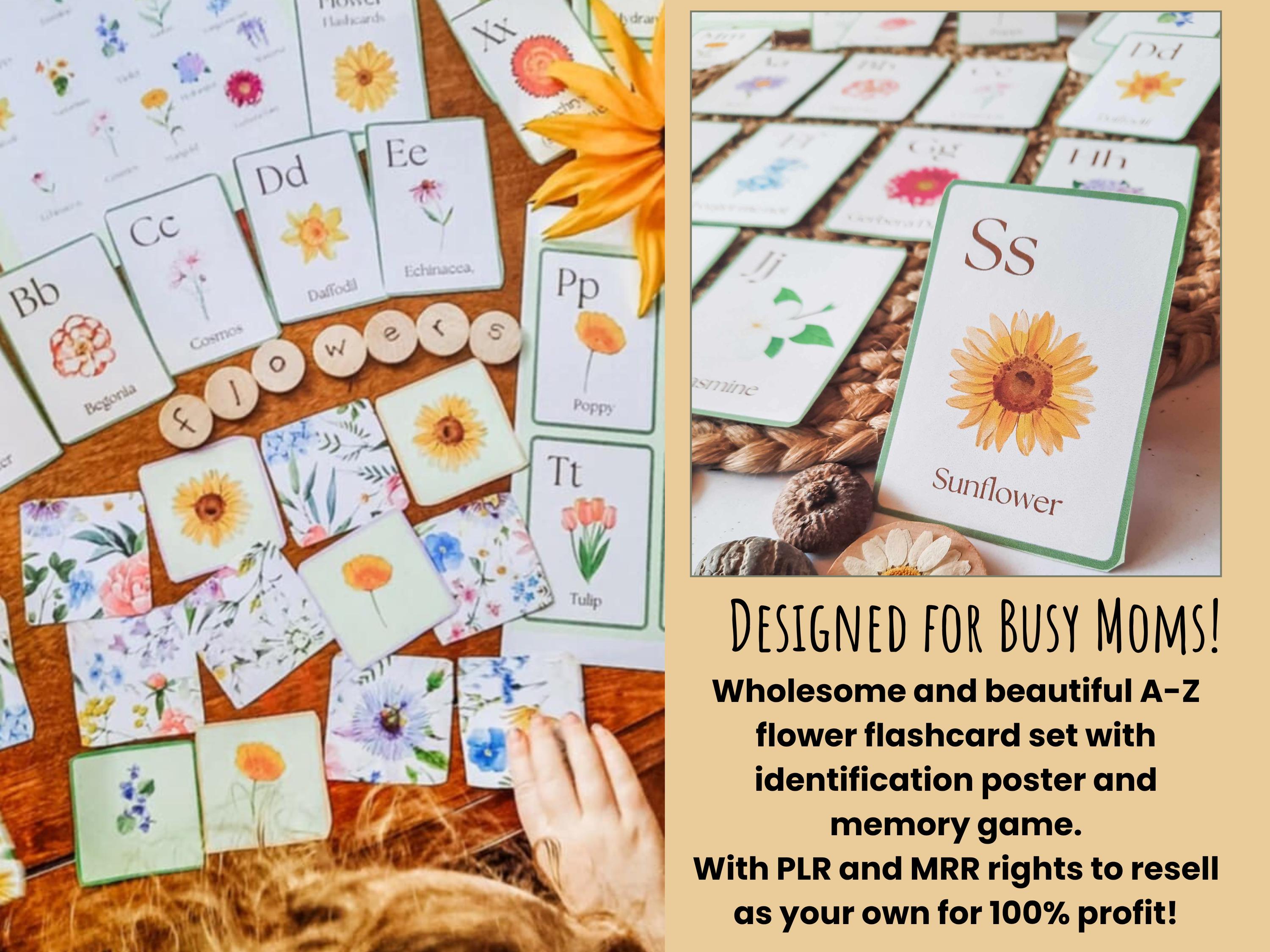Flower Flashcards Alphabet PLR – A to Z Nature ABC, Editable Printable ...