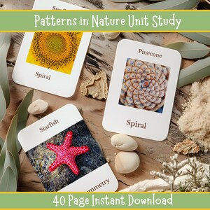 Estudio de patrones en la naturaleza: Materiales imprimibles STEM de Charlotte Mason y Montessori