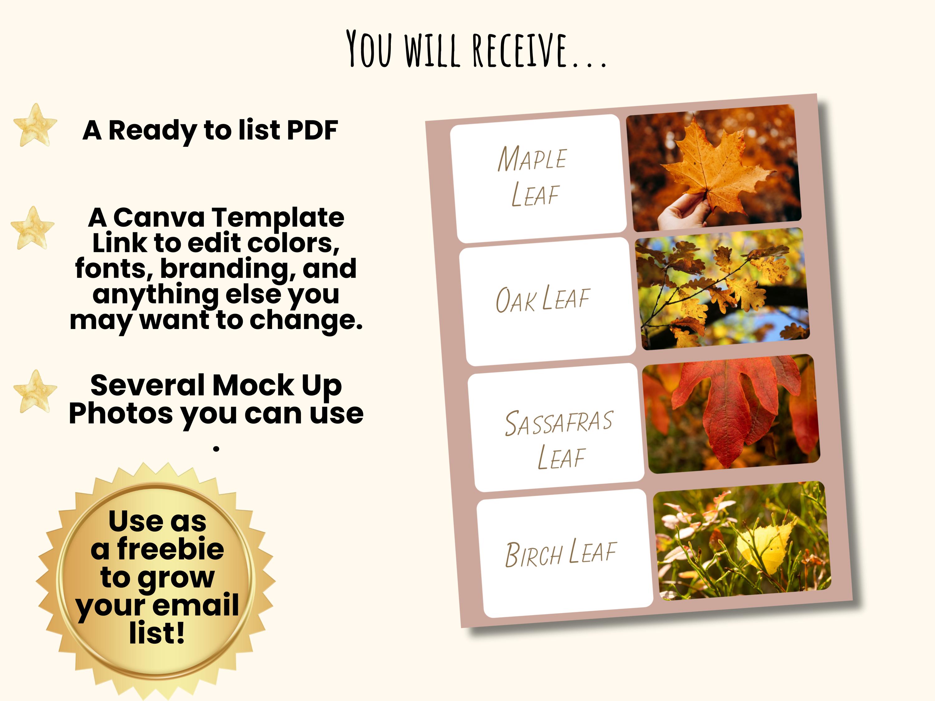 Autumn PLR Printables | Fall Worksheets for Kids (70 Pages) | Editable ...