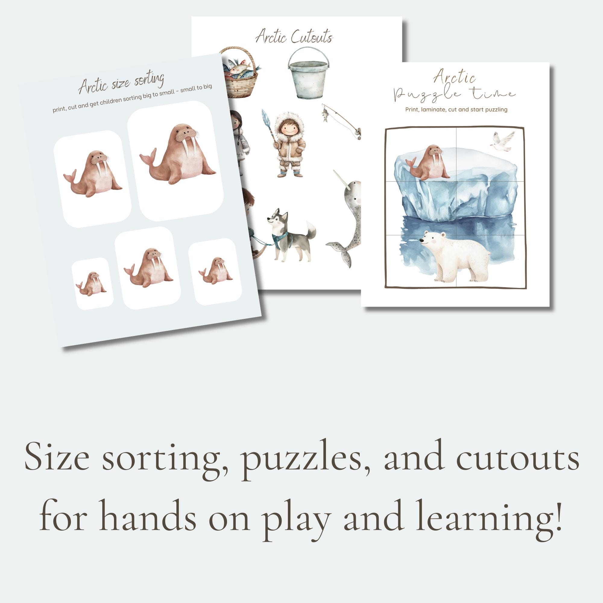 Arctic Animals Preschool Kindergarten and Elementary Activities, Winter ...