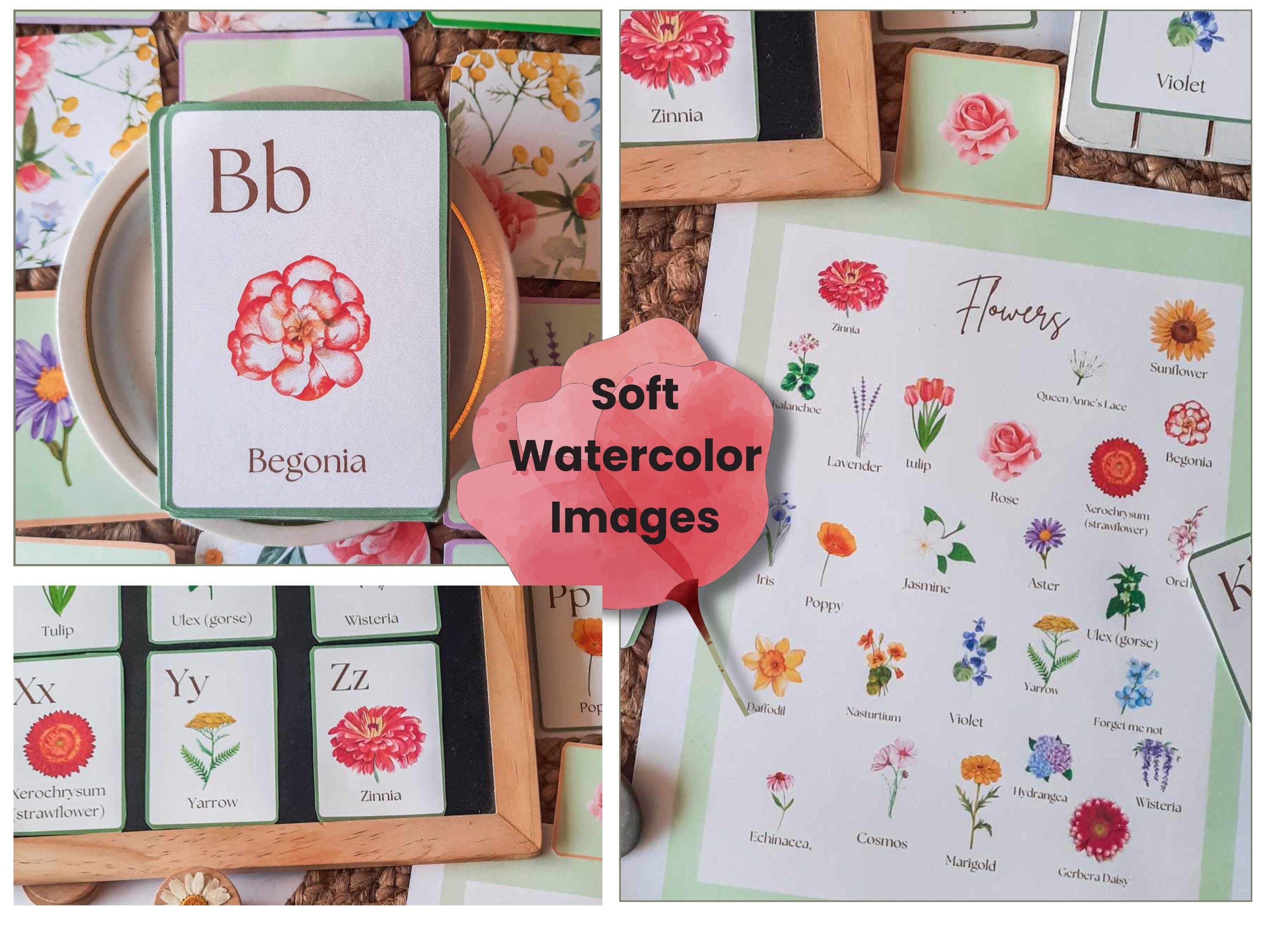 Flower Flashcards Alphabet PLR – A to Z Nature ABC, Editable Printable ...