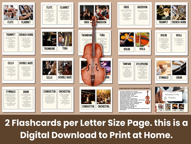 Pu&ograve; includere: Download digitale di schede didattiche che illustrano strumenti orchestrali. Ogni scheda mostra uno strumento, un'immagine e del testo. Strumenti: flauto, clarinetto, tromba, corno francese, violoncello, contrabbasso, ecc. Include un violino.