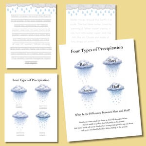 May include: Educational printables about the water cycle and precipitation. The pages feature illustrations of rain, sleet, snow, and hail, with descriptive text. The text includes the title "Four Types of Precipitation".