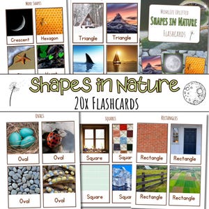 May include: A set of 20 flashcards featuring various shapes found in nature. The flashcards are divided into three categories: ovals, squares, and rectangles. Each card features a photograph of a natural object, such as a bird's nest, a ladybug, a window, a brick wall, and a fence. The text "Shapes in Nature 20x Flashcards" is displayed at the top of the image.