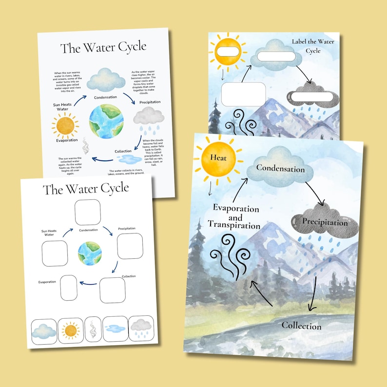 May include: Educational posters illustrating the water cycle. The posters feature diagrams with labels such as "Evaporation," "Condensation," and "Precipitation." The illustrations include a sun, clouds, mountains, and water bodies, all in a watercolor style.