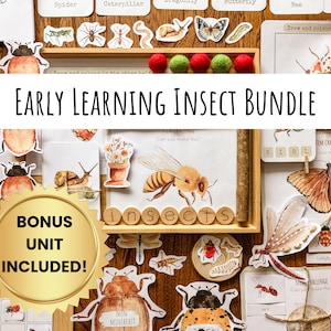 insect printables, bugs for kids,montessori learning, preschool bundle,morning basket, kindergarten homeschool, reggio emilia