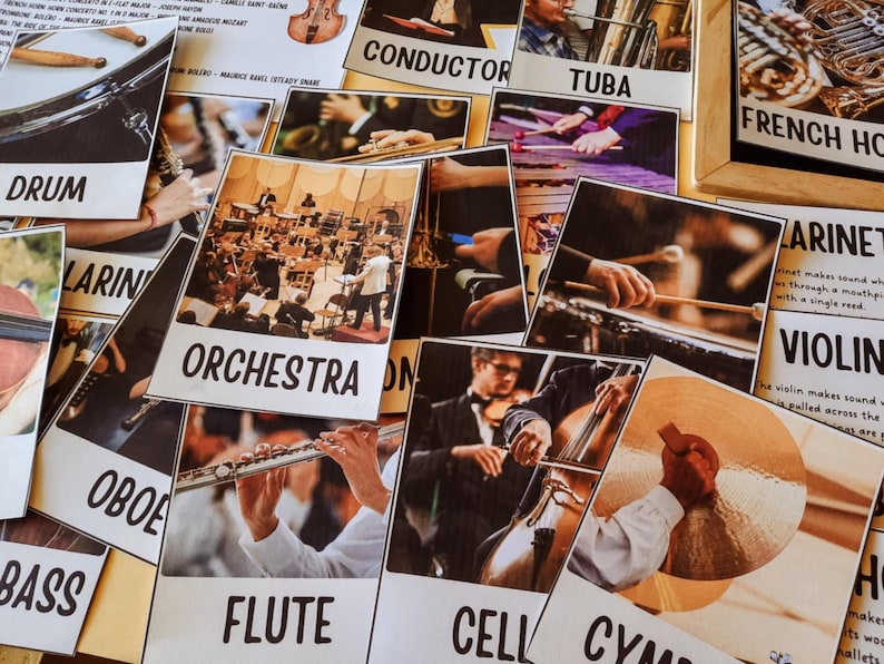 Pu&ograve; includere: Una collezione di schede didattiche con strumenti musicali e membri dell'orchestra. Le schede includono "Drum", "Orchestra", "Flute", "Cymbals" e "Tuba". Le schede presentano immagini degli strumenti e dei musicisti.