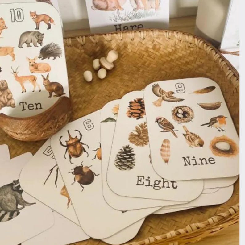 Op de afbeelding: Educatieve flashcards met illustraties van bosdieren en cijfers. De kaarten tonen dieren zoals beren, vossen en vogels, met het bijbehorende nummer in tekst. De kaarten zijn gerangschikt in een geweven mand.