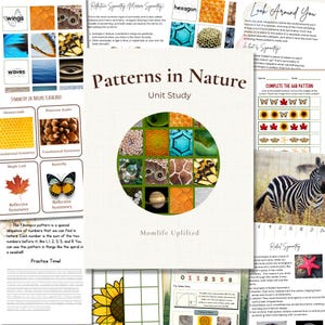 Patterns in Nature Study – Reggio STEM Printables