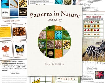 Patterns in Nature Study – Reggio STEM Printables