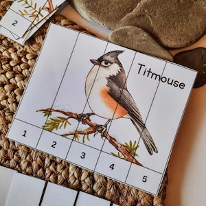 Op de afbeelding: Een kleur-op-nummer illustratie van een koolmees die op een tak zit. De vogel heeft een grijze, witte en oranje kleur. De afbeelding is verdeeld in genummerde secties om in te kleuren. Het woord "Titmouse" is in het zwart geschreven.