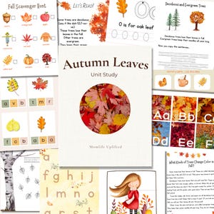May include: A collection of educational worksheets titled Autumn Leaves Unit Study, featuring illustrations of fall foliage, trees, and alphabet letters. The pages include a scavenger hunt, reading exercises, and writing practice with autumn-themed graphics.