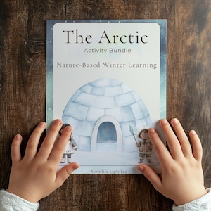 Arctic animals preschool kindergarten and elementary activities, winter morning basket