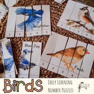 Morning Basket Toddler Ideas, Homeschool Birds Counting Activity, Montessori inspired nature study printables for preschool and kindergarten
