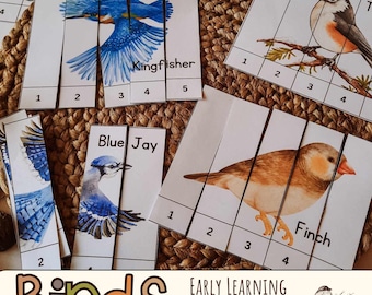 Morning Basket Toddler Ideas, Homeschool Birds Counting Activity, Montessori inspired nature study printables for preschool and kindergarten