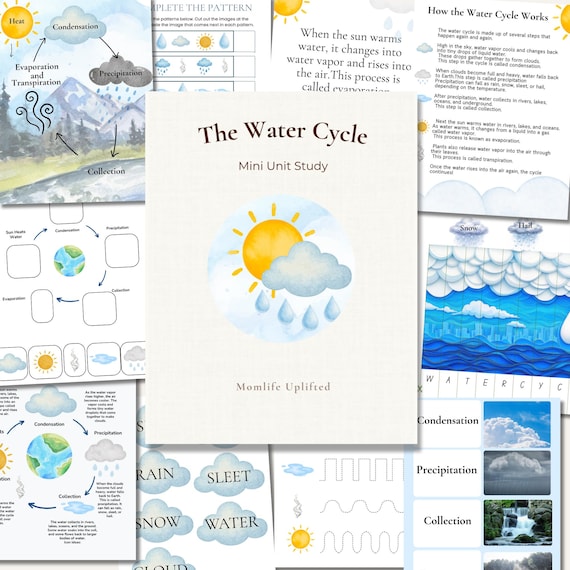 Water Cycle Mini Unit Study | Homeschool Science PreK–1st Grade | Printable Early Learning Activities