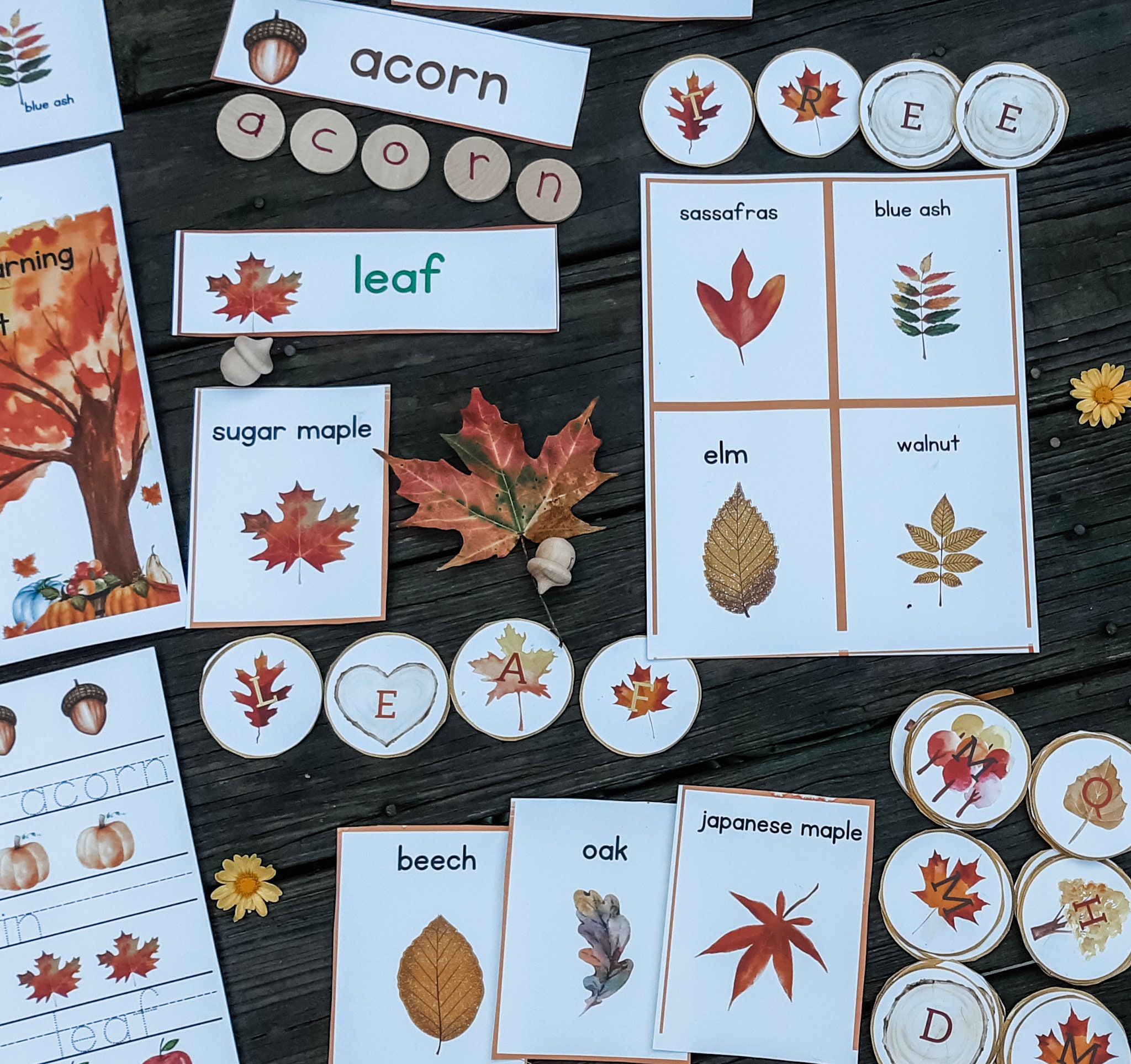 Printable Fall Activity Fall Early Learning Activities Montessori ...