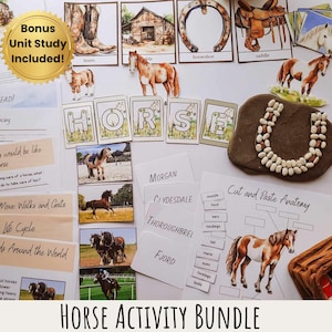 May include: A horse activity bundle for kids includes a cut and paste anatomy activity, a life cycle activity, a horse breeds activity, and a move, walks, and gaits activity. The bundle also includes a bonus unit study.