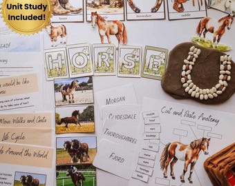 Horse Unit Study, Horse Homeschool Unit Study, Horse Anatomy, Horse Puzzles, Preschool Bundle, 1st grade reading, second grade printables