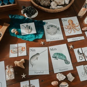 May include: A set of flashcards featuring various sea creatures, including a narwhal, manatee, octopus, pufferfish, and more. Each card has a letter and the name of the animal written below. The cards are on a wooden surface with seashells and other ocean-themed decorations.