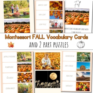 May include: Montessori Fall Vocabulary Cards with 2-part puzzles. The cards feature images of fall-themed objects, such as pumpkins, gourds, and corn mazes. The puzzles are designed to help children learn about fall vocabulary and develop their fine motor skills.