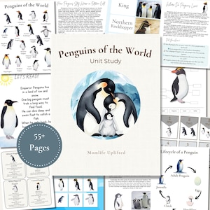 May include: A unit study titled "Penguins of the World" with illustrations of various penguin species. The cover features a watercolor image of a penguin family. Additional pages detail penguin facts and the penguin life cycle.