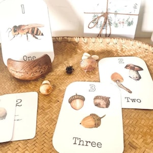 Tarjetas didácticas de los números del 1 al 10, tarjetas de conteo para preescolar, actividades escolares en el bosque, tarjetas didácticas de números Montessori
