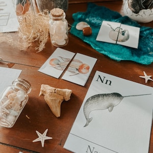 May include: A set of educational flashcards featuring a narwhal, a fish, and a seashell. The cards are white with black text and illustrations. The narwhal card has the letter "Nn" and the word "Narwhal" printed on it. The fish card has two fish, one orange and one white, with black outlines. The seashell card has a white seashell with a black outline.