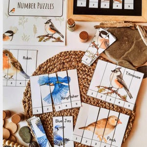 Op de afbeelding: Educatieve getallenpuzzels met vogelillustraties. De puzzels bevatten afbeeldingen van een Roodborstje, IJsvogel, Blue Jay, Kuifmees en Vink. Elke puzzel is verdeeld in genummerde secties, met de tekst "NUMBER PUZZLES" bovenaan.