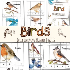May include: A set of printable bird number puzzles for early learners. The puzzles feature colourful illustrations of different bird species, including a chickadee, finch, killdeer, robin, cardinal, blue jay, and titmouse. Each puzzle is divided into five sections, numbered 1 through 5. The puzzles are designed to help children learn to count and identify different bird species.